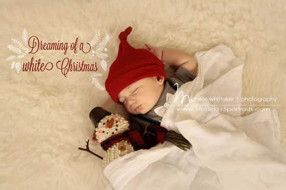 IMG_3861white christmaswm